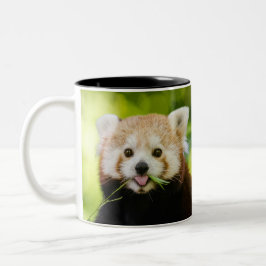 Taza Bicolor Retrato de Panda Rojo Adorable