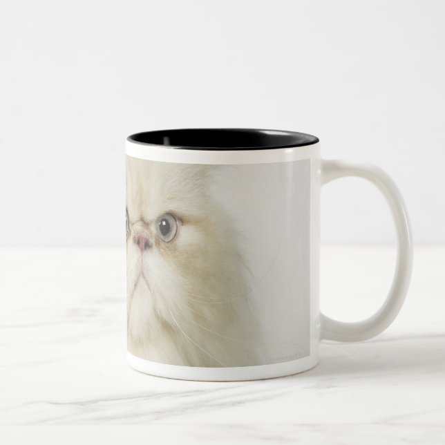 Taza Bicolor Retrato de un gato persa (Derecha)