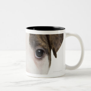 Taza Bicolor Retrato de un perrito del pitbull