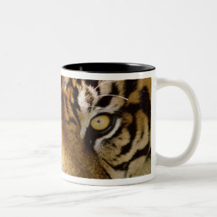 Taza Bicolor Retrato de un tigre