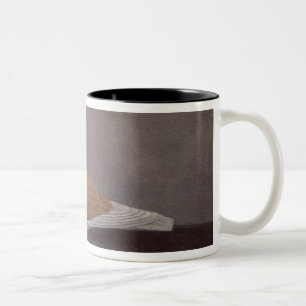 Taza Bicolor Retrato de una paloma de la barba