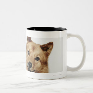 Taza Bicolor Retrato de una sonrisa finlandesa del perro del