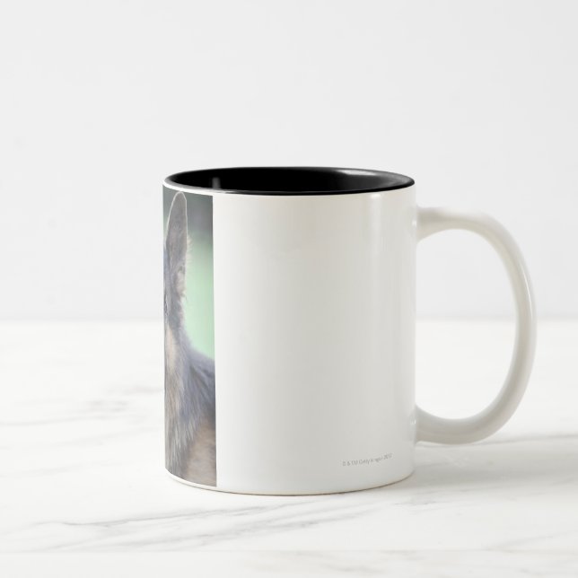 Taza Bicolor Retrato del alemán Sheppard (Derecha)