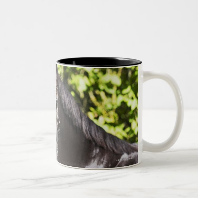 Taza Bicolor retrato del caballo marrón 2 (Derecha)