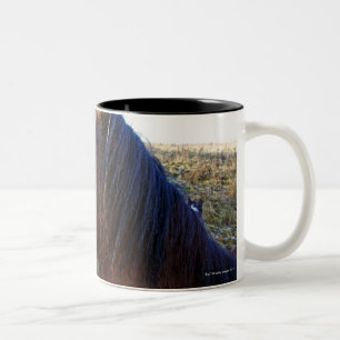 Taza Bicolor Retrato del caballo marrón en día frío