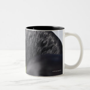 Taza Bicolor retrato del caballo negro con la melena larga