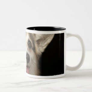 Taza Bicolor Retrato del Corgi negro, marrón y blanco