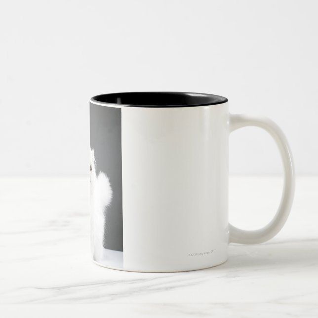 Taza Bicolor Retrato del gatito (Derecha)
