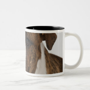 Taza Bicolor Retrato del perrito lindo del bulldog