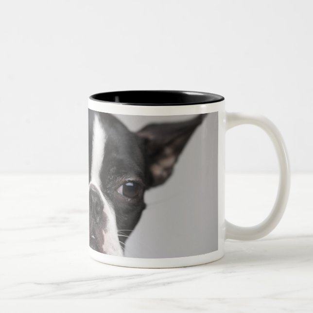 Taza Bicolor Retrato del perro (Derecha)