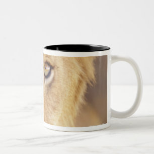 Taza Bicolor Retrato del primer de una mentira masculina joven