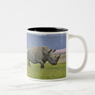 Taza Bicolor Rinoceronte blanco y flamencos rosados menores dis