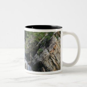 Taza Bicolor Río Crystal, Bosque Nacional Gunnison,