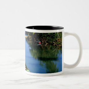 Taza Bicolor Río escénico cerca de Ocho Ríos en Jamaica
