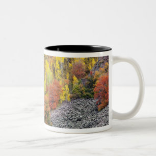 Taza Bicolor Río Provo y árboles de álamo temblón