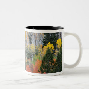 Taza Bicolor Río Provo y árboles de álamo temblón