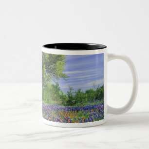 Taza Bicolor Roble Vivo y Pincel de Texas, y Texas