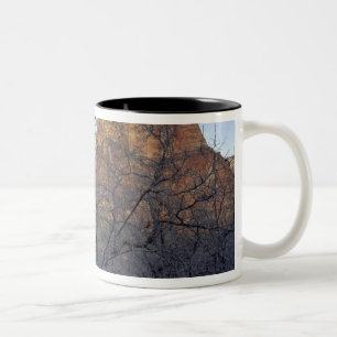 Taza Bicolor Robles en invierno, Corte de los Patriarcas
