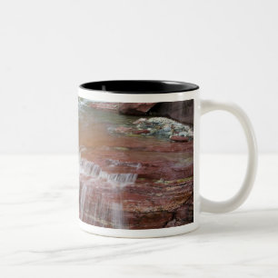 Taza Bicolor Roca roja en Baring Creek en Glacier National