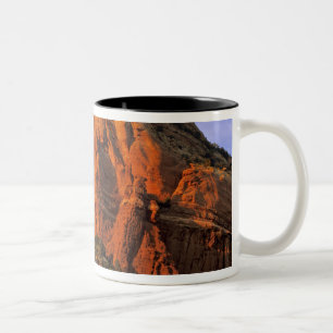Taza Bicolor Rocas rojas en el cañón Sterling en Sedona Arizo
