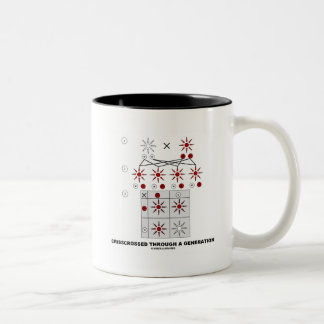 Taza Bicolor Rodeado De Una Generación (Punnett Square)