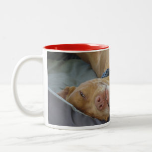 Taza Bicolor Rojo
