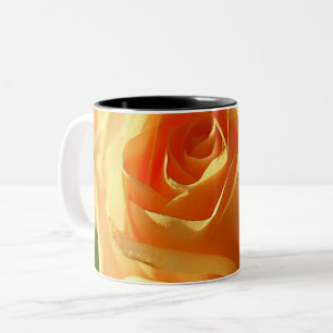 Taza Bicolor Rosa amarilla en pleno florecimiento