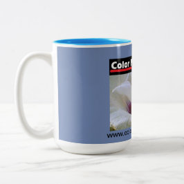 Taza Bicolor Rosa blanca