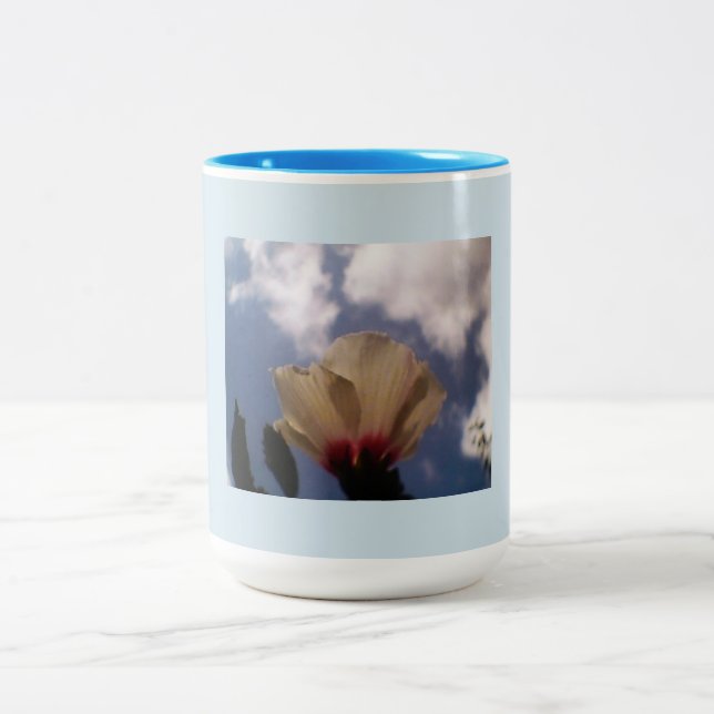 Taza Bicolor Rosa Blanca Azul (Centro)