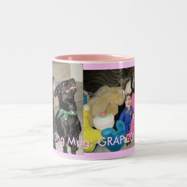 Taza Bicolor Rosa de GRAP 2010 (Centro)