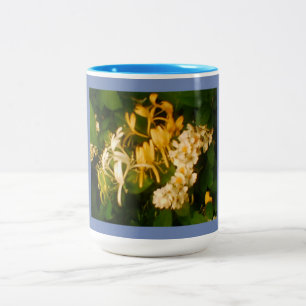 Taza Bicolor Rosa silvestre