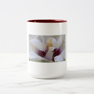 Taza Bicolor Rosa vibrante en flor