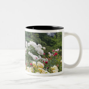Taza Bicolor Rosas en flor y Gazebo Rose Garden en el
