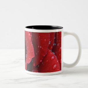 Taza Bicolor Rosas rojas cubiertas adornan el sitio de la tumba