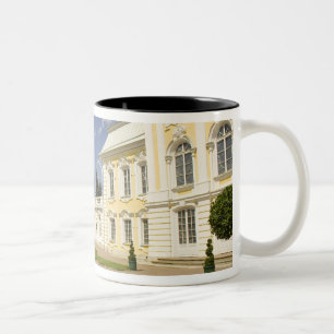 Taza Bicolor Rusia. Petrodvorets. Palacio Peterhof. Pedro el 3