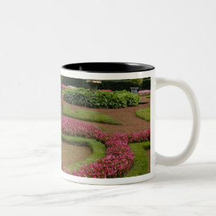Taza Bicolor Rusia, San Petersburgo, Palacio Peterhof, alias