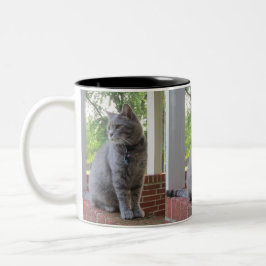 Taza Bicolor Russ The Cat Mug