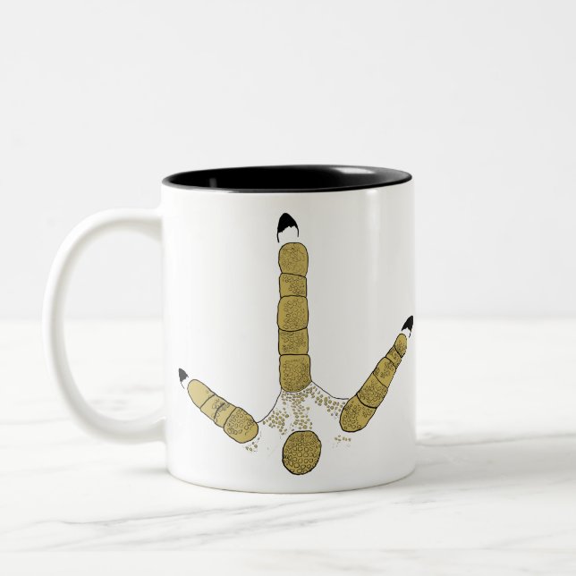 Taza Bicolor Ruta de Turquía salvaje (Izquierda)