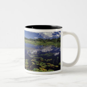 Taza Bicolor S.A., Brasil, Vías navegables en Pantanal