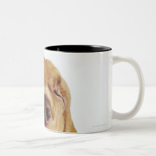 Taza Bicolor Sabueso (perro del St. Huberto) con los ojos