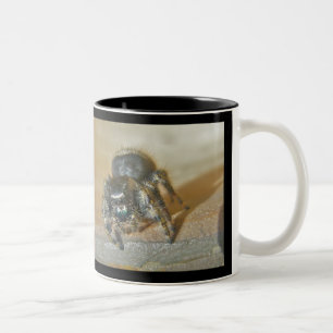 Taza Bicolor Saltando Araña (Phiddipus audax) Mug
