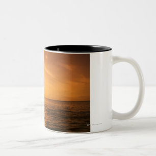 Taza Bicolor Salto del delfín de Bottlenose
