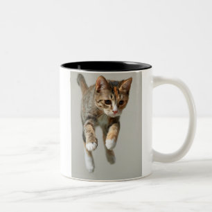 Taza Bicolor Salto del gato de calicó