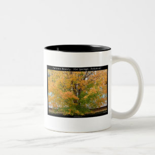 Taza Bicolor Saltos termales de belleza otoñal, regalos de ropa