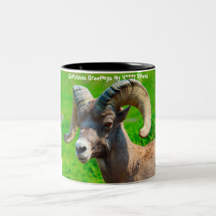 Taza Bicolor Saludos navideños a mi querido amigo