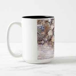 Taza Bicolor Salvar las mariposas: Mugs Norte/Sur - Norte
