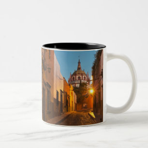 Taza Bicolor San Miguel de Allende, México. Crédito: Nancy