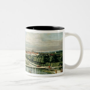 Taza Bicolor Schloss Nymphenburg, 1761