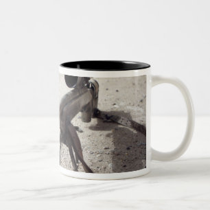 Taza Bicolor Schmidt y el doblador M-854155 DS
