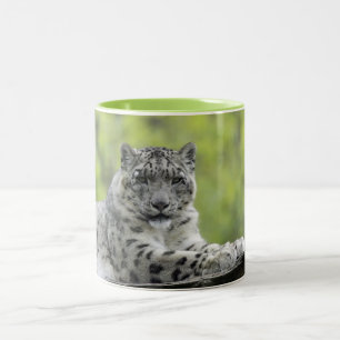 Taza Bicolor Schneeleopard